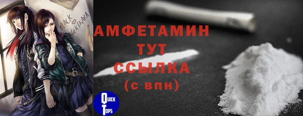 ECSTASY Богданович