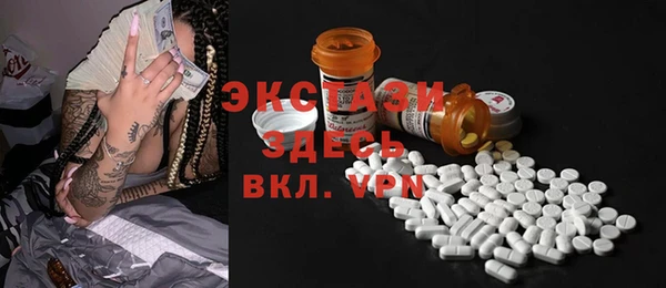 ECSTASY Богданович