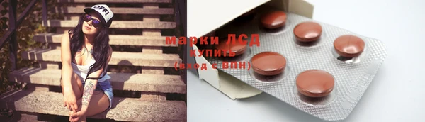 ECSTASY Богданович