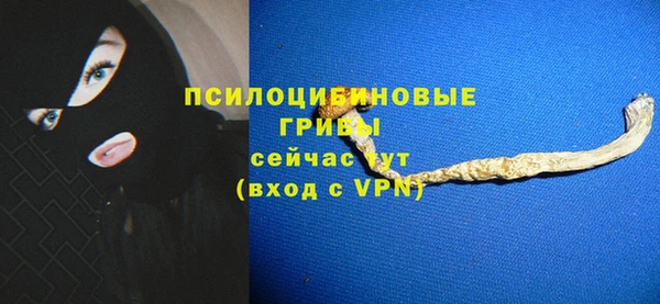 ECSTASY Богданович