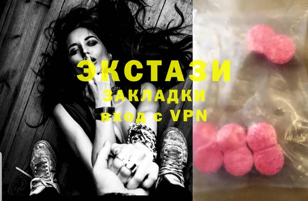 ECSTASY Богданович