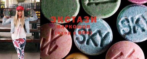 ECSTASY Богданович