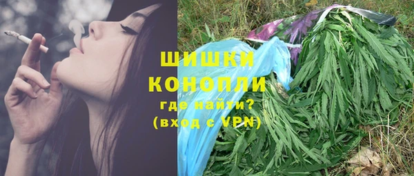ECSTASY Богданович
