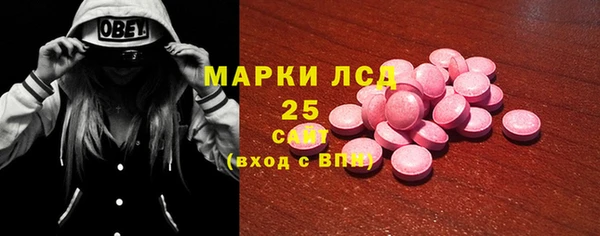 ECSTASY Богданович