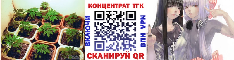 ТГК Wax  где можно купить   Дивногорск 