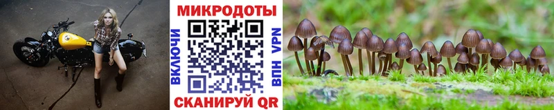 Галлюциногенные грибы Cubensis  МЕГА tor  Дивногорск 